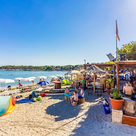 Pet Friendly In With Sauna *