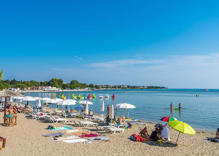 Pet Friendly In With Sauna *